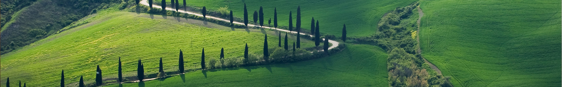 Chi siamo, veduta sul chiostro