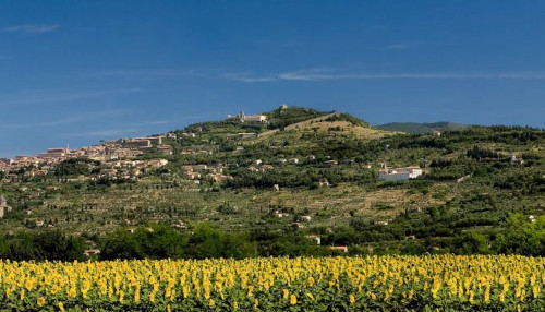 Cortona Eventi Convegni